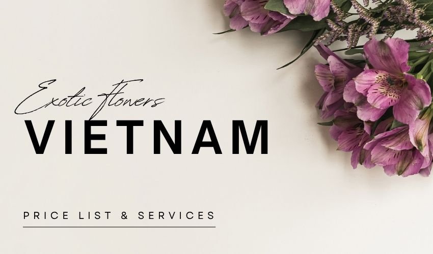 Exotic Flowers Vietnam – Rare Blooms for Special Gifts