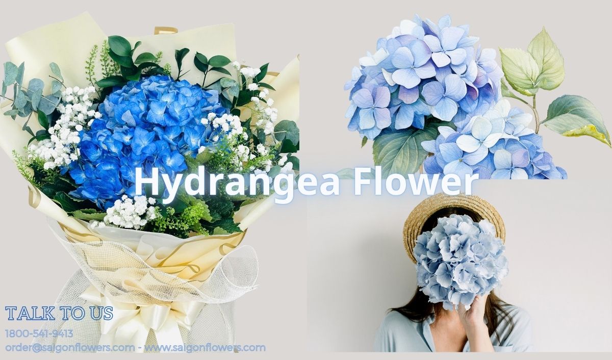 Flowers Delivery Hoa Binh