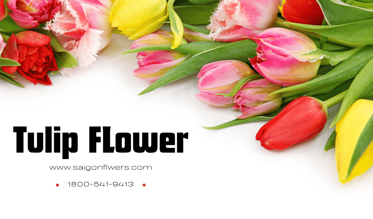 Flowers Delivery Thai Nguyen