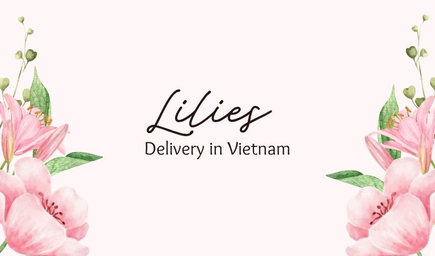 Lilies Delivery in Vietnam – Graceful Flowers for Every Occasion