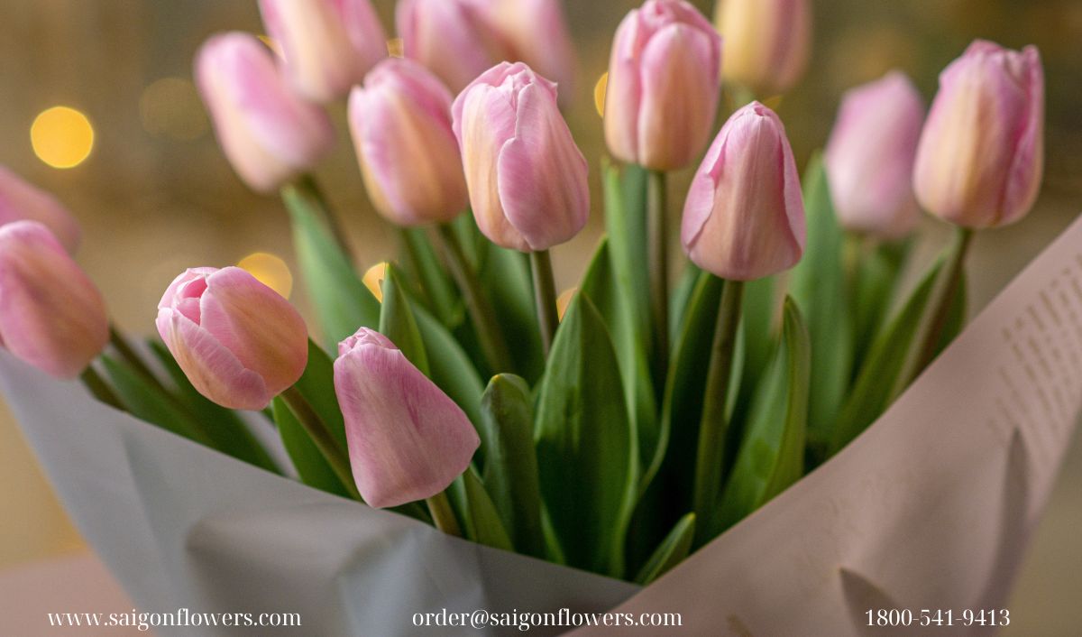 Send Flowers To Thanh Hoa