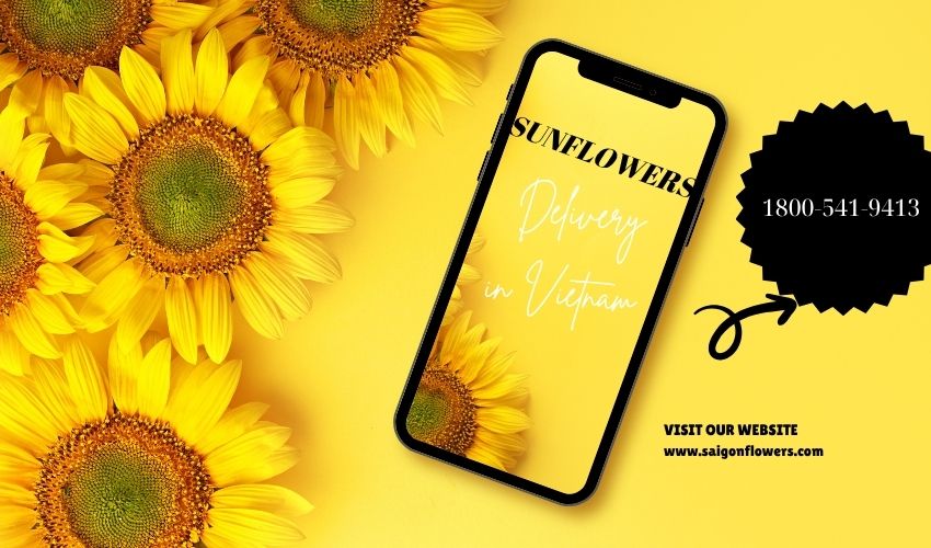 Sunflowers Delivery in Vietnam – Bright Gifts for Joyful Moments