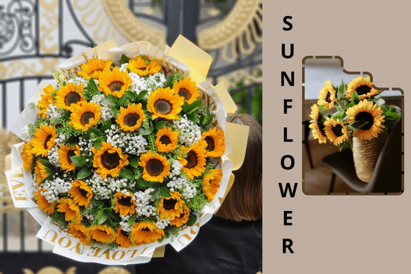 The Meaning of Sunflowers