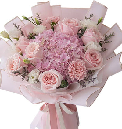 Angel Touch Hydrangeas