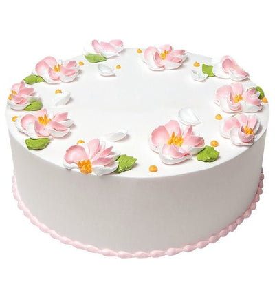 Dairy Queen Ice Cream Cake DQ-029 - HCM ONLY