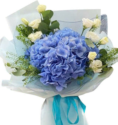 Ocean Breeze Hydrangeas