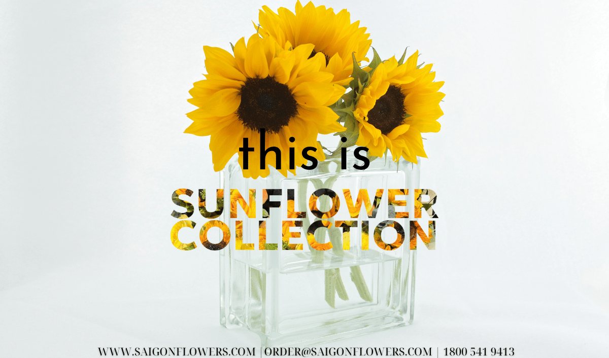 Flowers Delivery Hai Duong