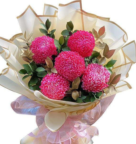 Red Peony Chrys