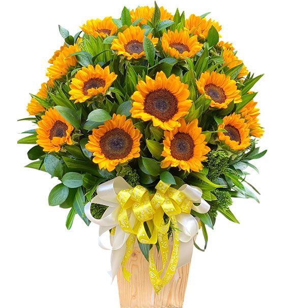 Be Sunshine