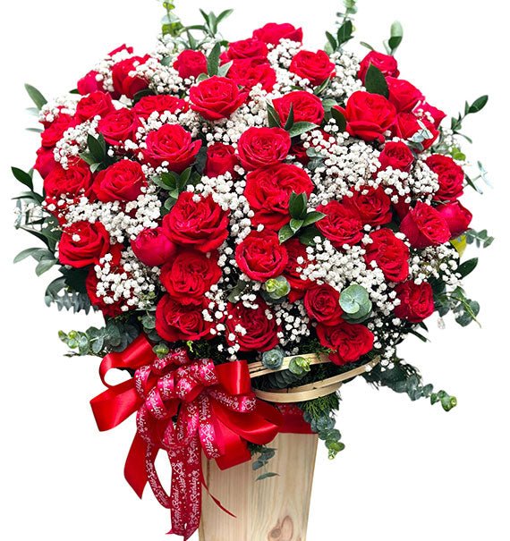 Best Roses For Christmas Vietnam