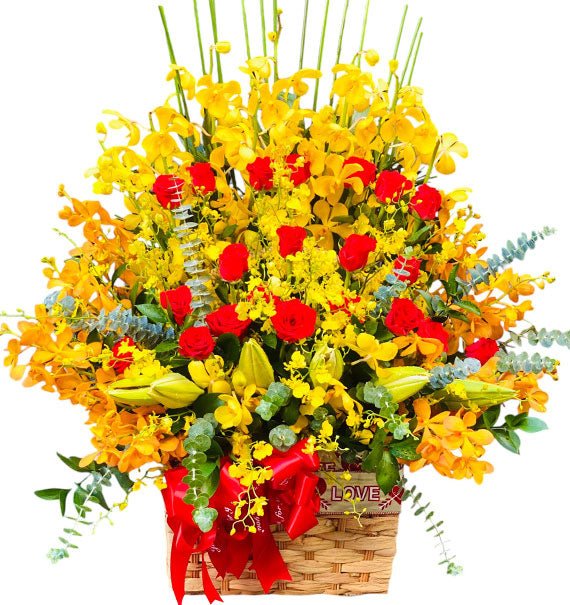 Bright Delight