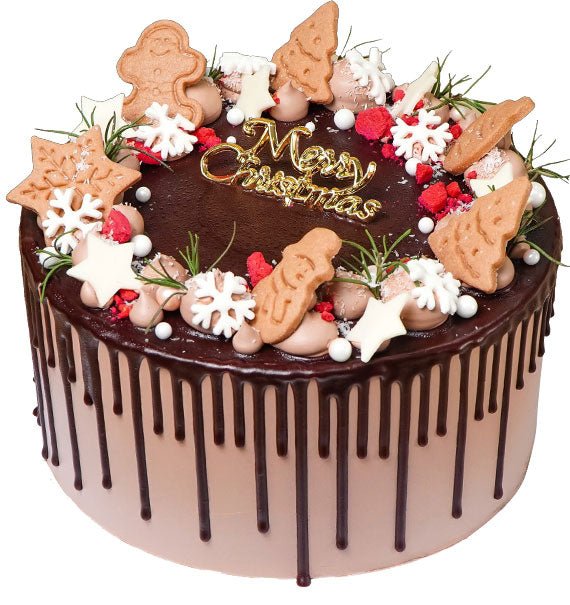 Choco Wonderland Cake Christmas Vietnam
