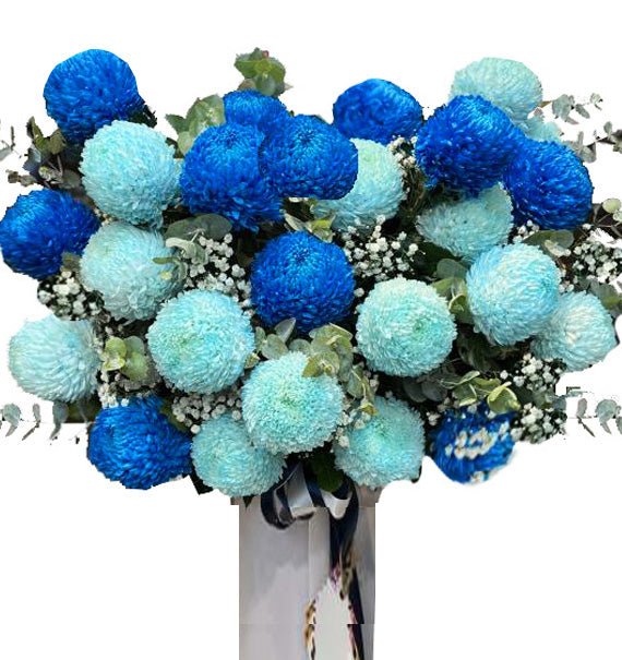 Christmas Morning Flowers Vietnam