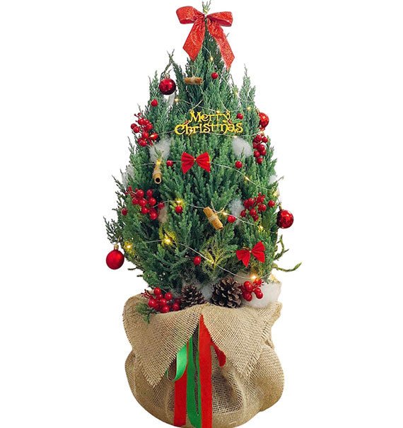 Christmas Tree Delivery Vietnam