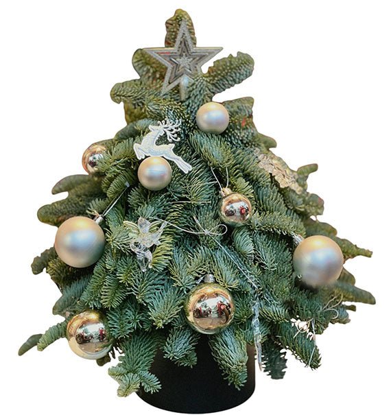 Christmas Tree Gift Vietnam