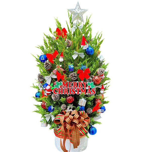 Christmas Tree With Ornaments Vietnam