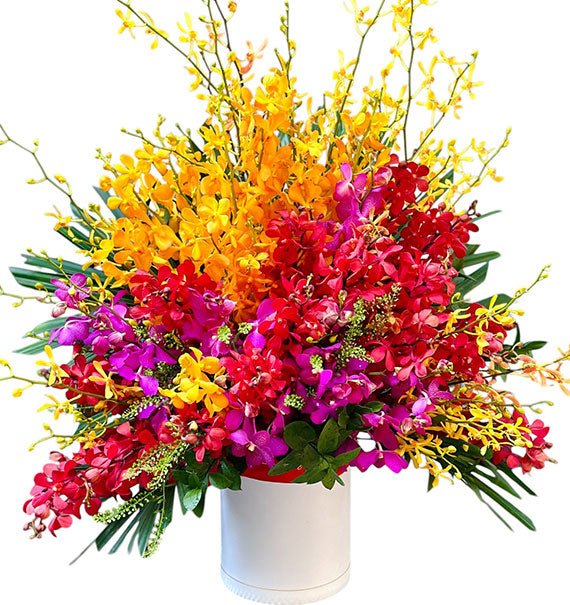 Colorful Orchids for Mothers Day Vietnam