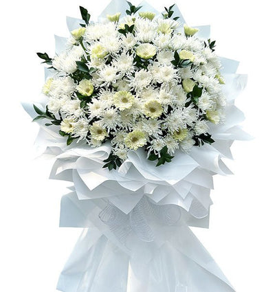 Comfort In White