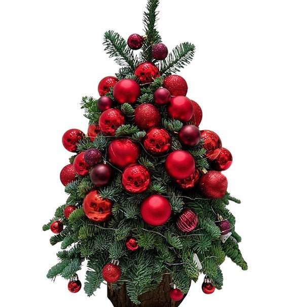 Enchanted Christmas Tree Vietnam