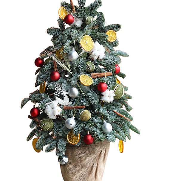 Everglow Christmas Tree Vietnam