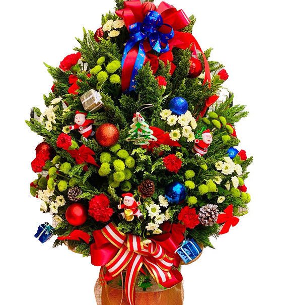 Evergreen Dreams Christmas Tree Vietnam