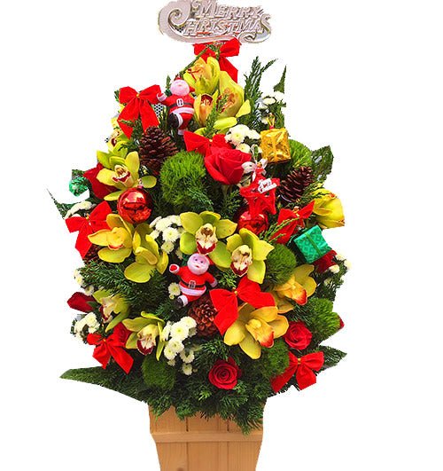 Fairyland Fir Christmas Tree Vietnam