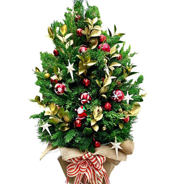 Green Christmas Tree Vietnam