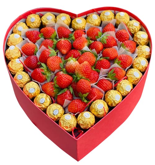 Holly Jolly Fruit Box Christmas Vietnam