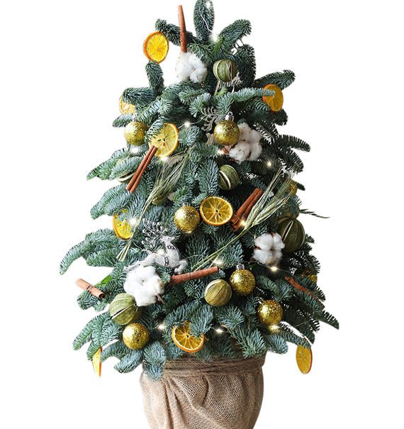 Jolly Fir Christmas Tree Vietnam