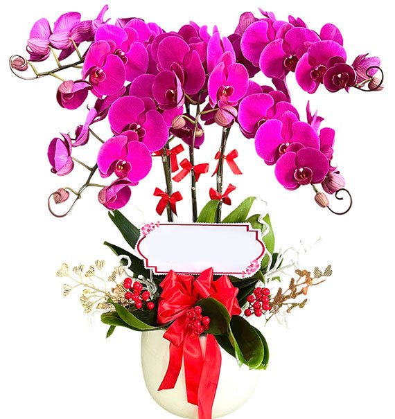 Loving Memory Orchids Funeral Vietnam