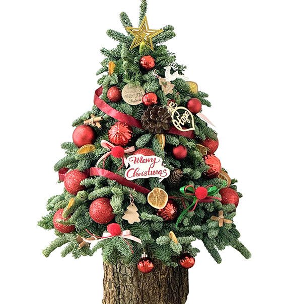 Luxury Christmas Tree Vietnam