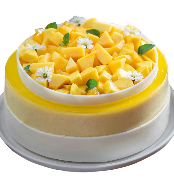 Mango Mousse Cake Vietnam