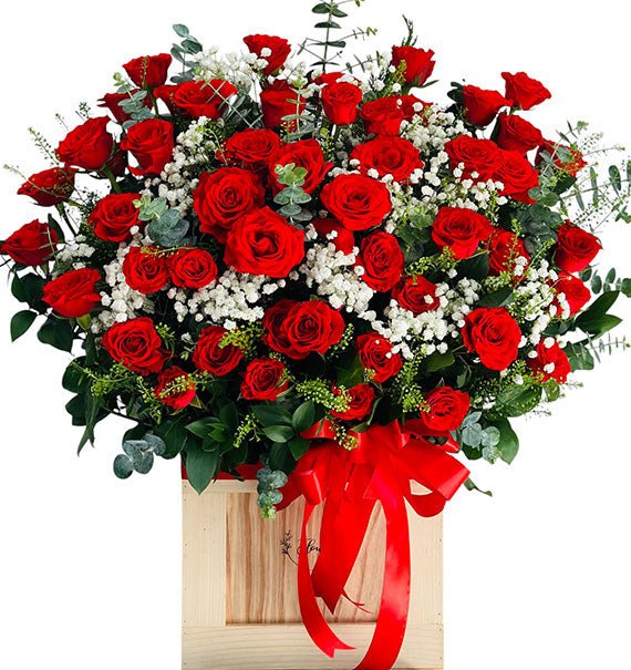 My True Valentine Roses Vietnam