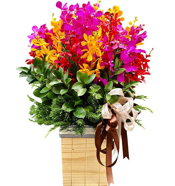 Orchid Basket For Mom Vietnam