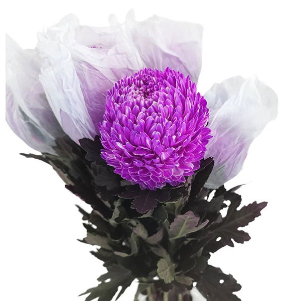 peony chrysanthemum purple