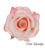 Pink Rhoslyn