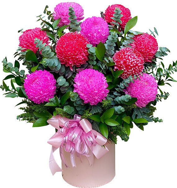 Pink Velvet Dreams Valentines Flowers Vietnam