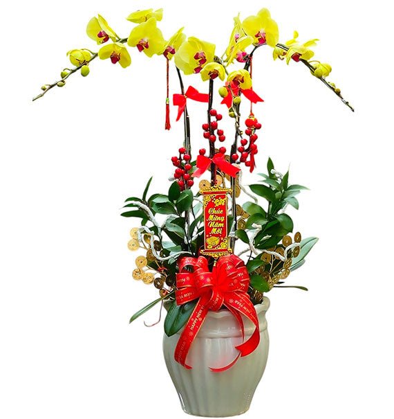 Potted Yellow Orchid 03 Branches