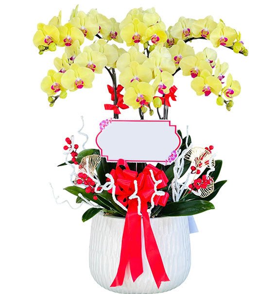 Potted Yellow Orchid 06 Branches