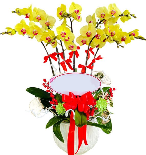 Potted Yellow Orchid 07 Branches