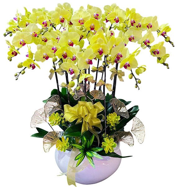 Potted Yellow Orchid 12 Branches
