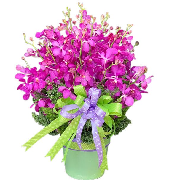 Purple Charm