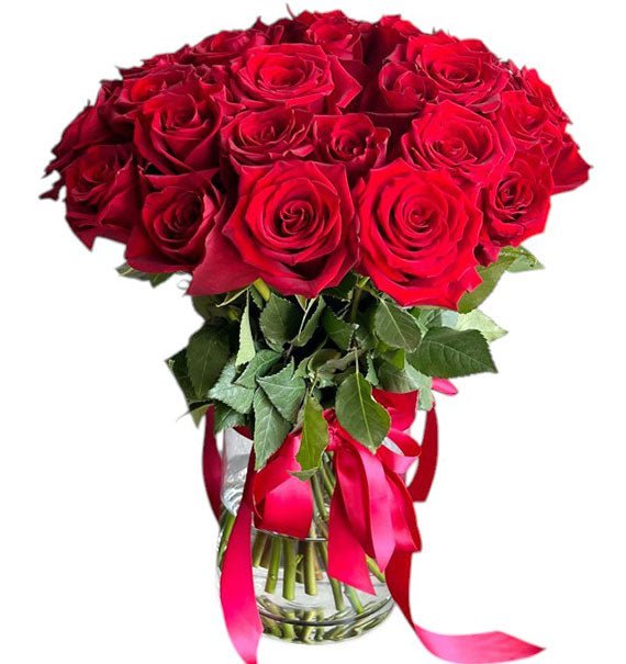 Red Explorer Ecuadorian Roses In Vase Vietnam