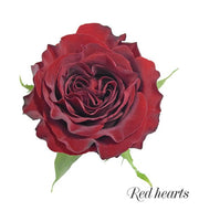 Red hearts