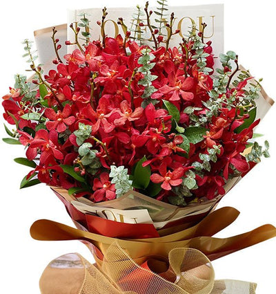 Red Orchids