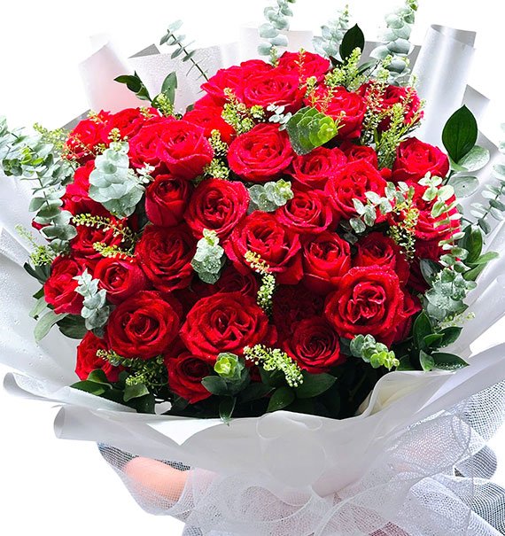 Royal Christmas Roses Vietnam