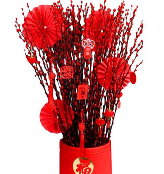 Spring Willow Harmony Tet Vietnam