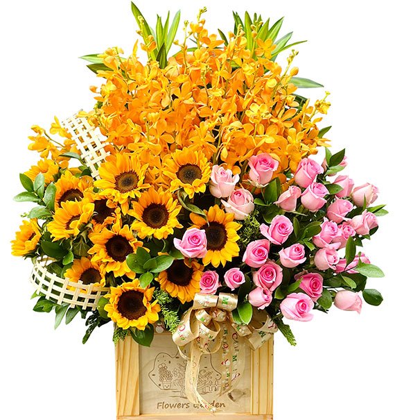 Sunlight Of Knowledge Basket Vietnamese Teachers Day