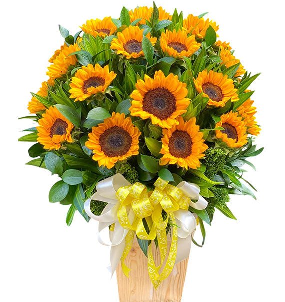 Sunny Delight
