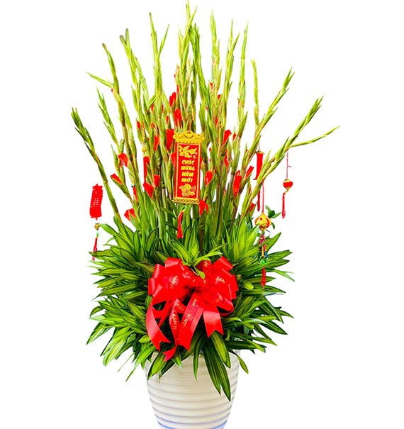 Tet Flowers Vietnam